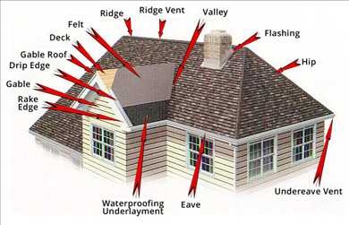 Roof Anatomy